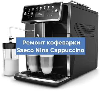 Чистка кофемашины Saeco Nina Cappuccino от кофейных масел в Санкт-Петербурге